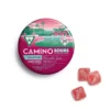 Buy Camino Sours 'Uplifting' Watermelon Spritz High Dose Gummies [20pk] (200mg THC) UK